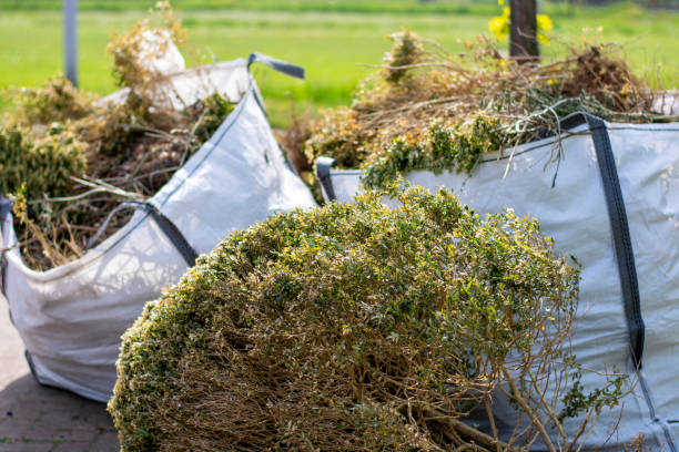 Best Basement Cleanout Services  in Urania, LA